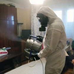 Дезинфекция от клопов в Деденево