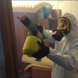 Уничтожение клопов в квартире. Деденево